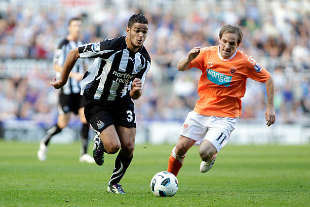 也许会在未 也许会在未