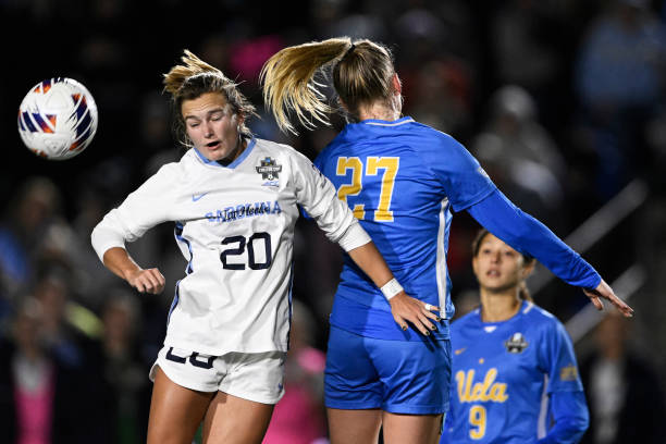 加维和拉什 加维和拉什