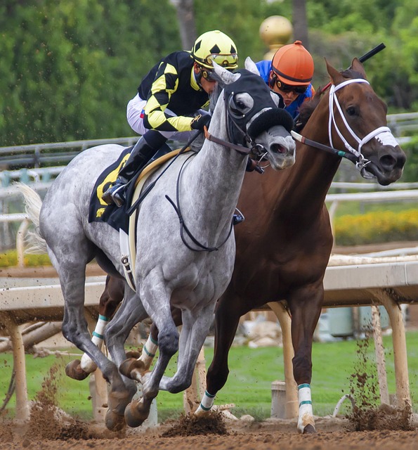 提前休战 提前休战